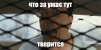 1694260501255.png