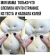 1712805727499.png