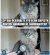 IMG_3528.jpeg