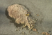 1745696269946.png