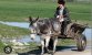 IMG_20251010_171613.jpg