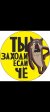Screenshot_20260601_132128_com.vkontakte.android.jpg